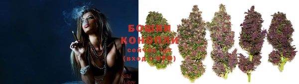 прущие крисы Гусиноозёрск