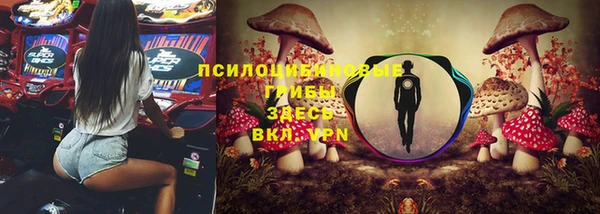 ешки Алексеевка
