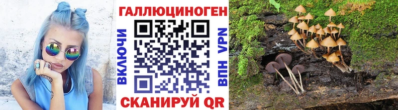 blacksprut зеркало  Старый Оскол  Псилоцибиновые грибы ЛСД 