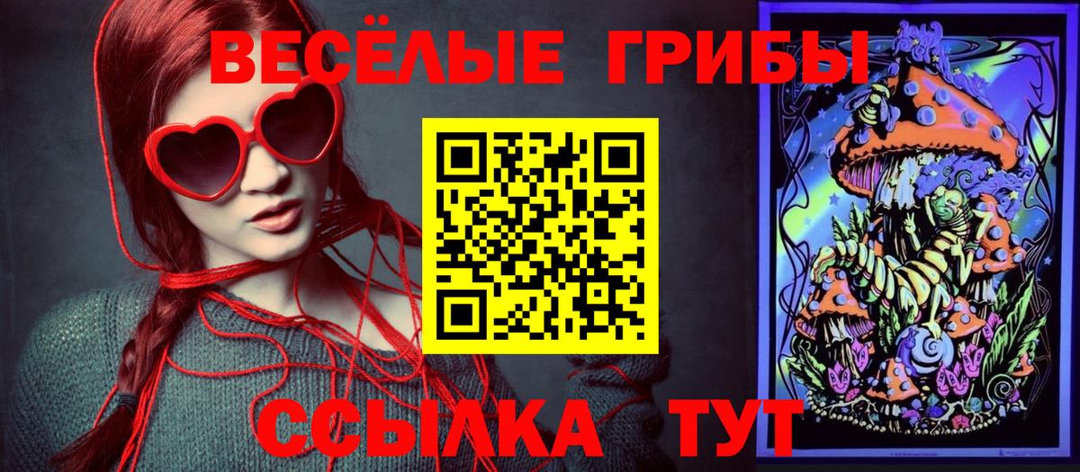 Старый Оскол  Псилоцибиновые грибы Psilocybe  Вход с VPN 